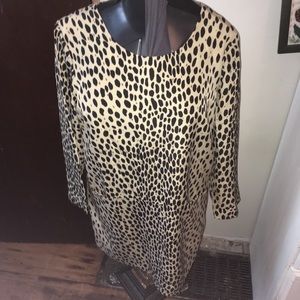 J Crew Factory leopard spot long sleeve shift dress, size 14